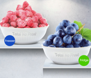 Hisense Refrigerator RC-67WS - No Frost