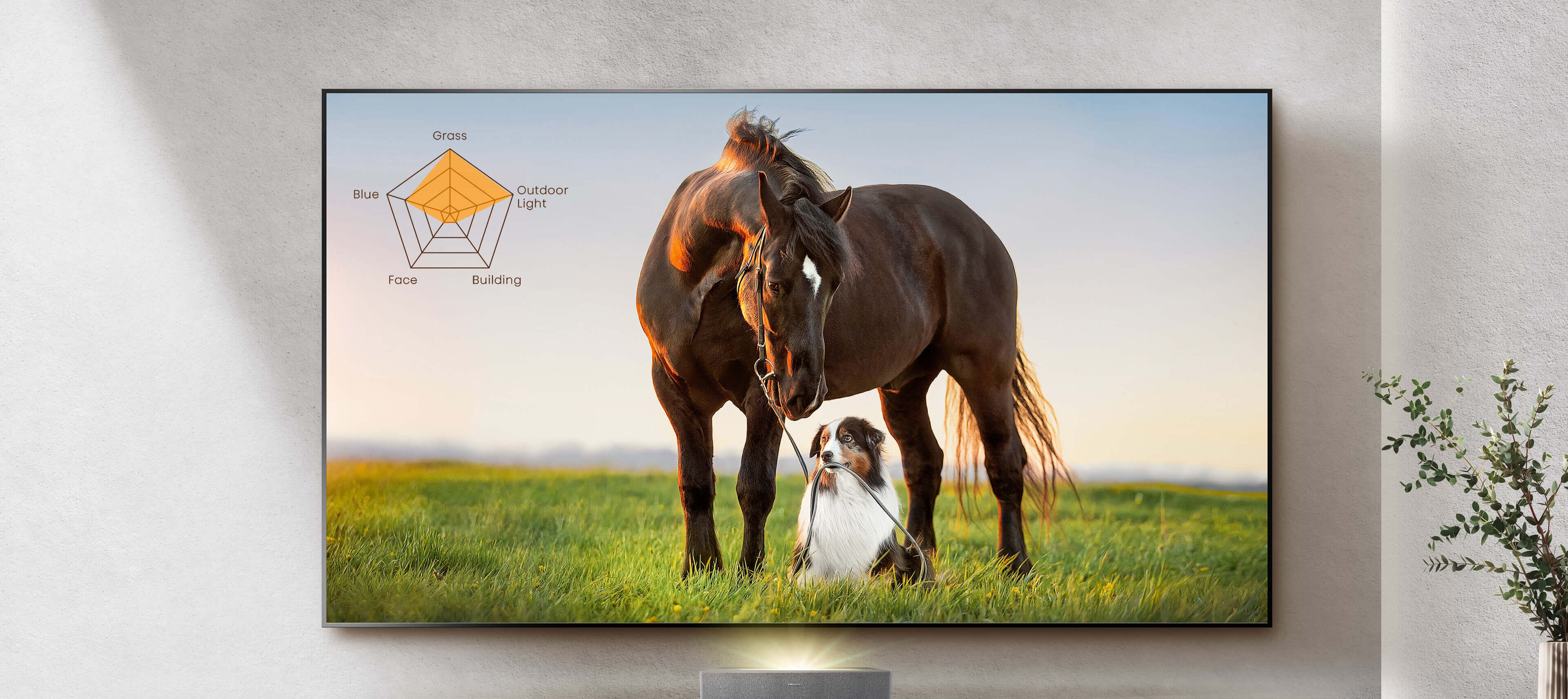 L5H 4K Ultra Short Throw Laser TV - Banner 8