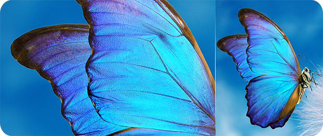 HISENSE INFINITY H60 ZOOM - 2MP Macro Camera