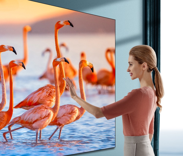 Hisense 100L5 -Pure Color Image