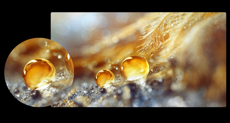 Hisense H50 Lite - Macro Shot