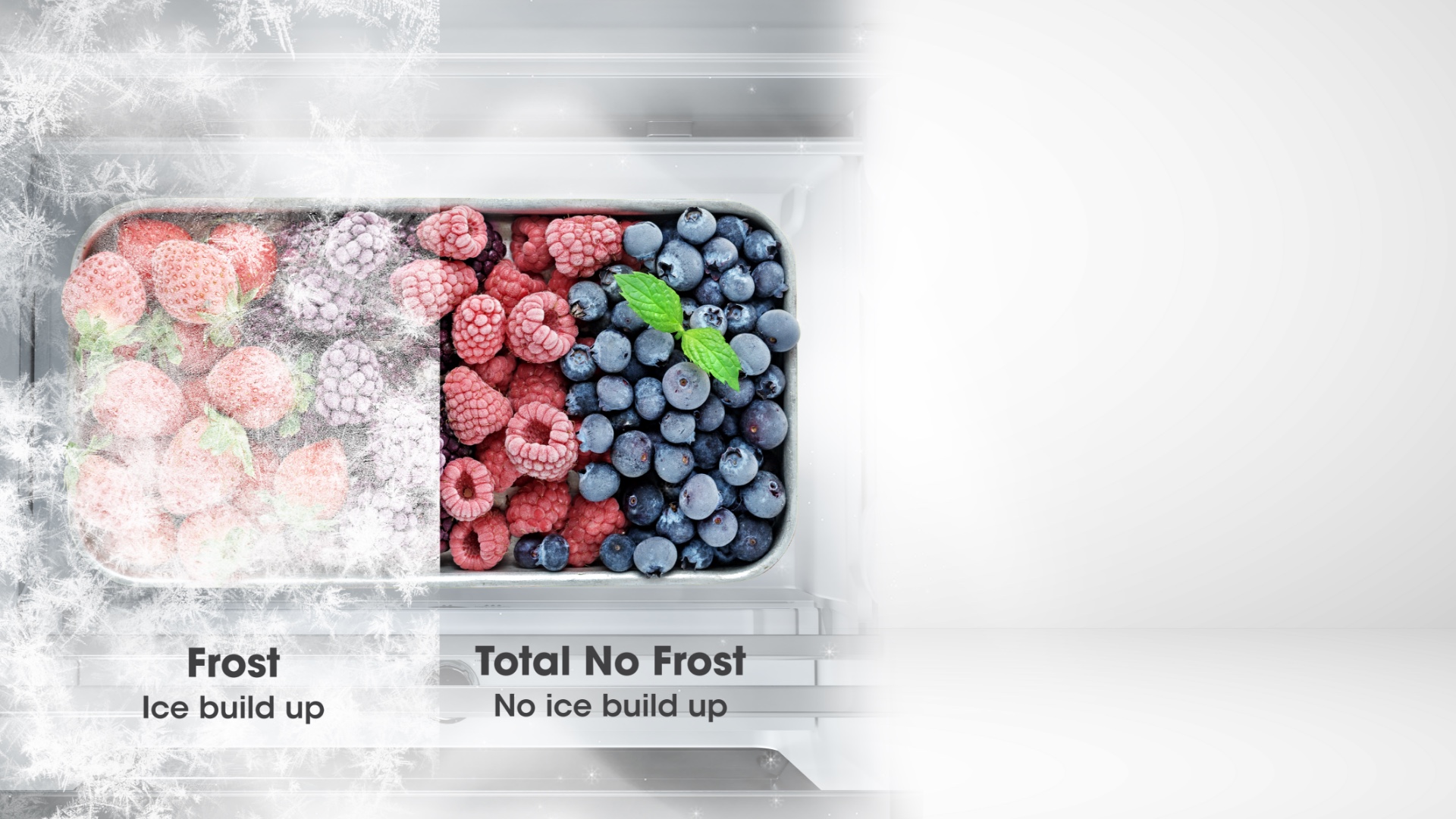 Hisense BCD-331W - Total No Frost feature image