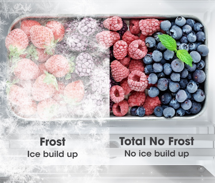 Hisense BCD-331W - Total No Frost feature image - mobile